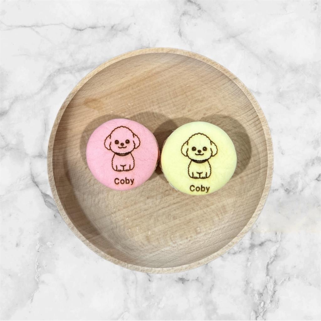 Personalized Freeze Dried Bacaron Set (5 pieces)