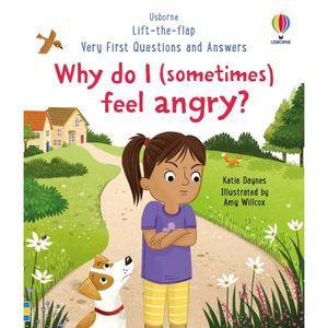 Usborne QnA-Why I Feel Angry?