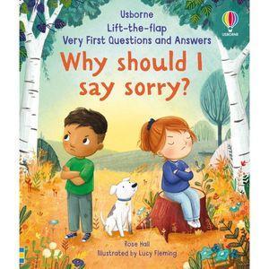 Usborne QnA-Why i say sorry?