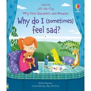 Usborne QnA-Why i feel sad?