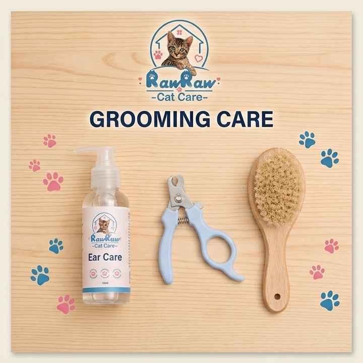 Basic Grooming