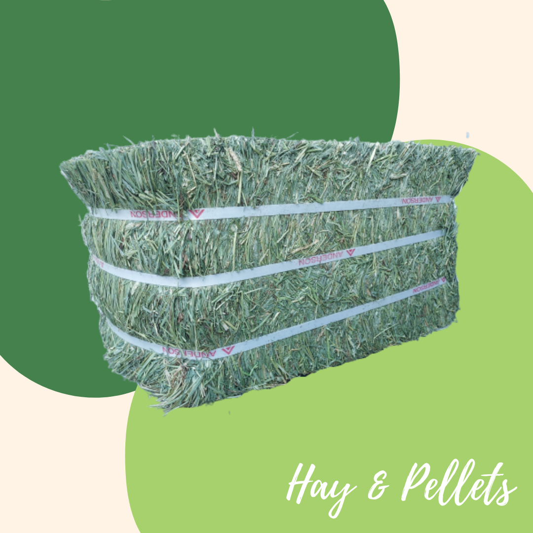 Timothy Hay | Anderson 1st Cut | 10kg Minibale