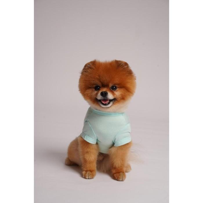[Pawlovin] Daily Top