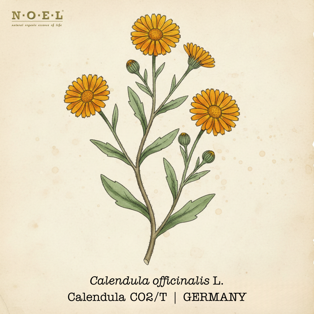 Calendula CO2/T (Organic) GERMANY