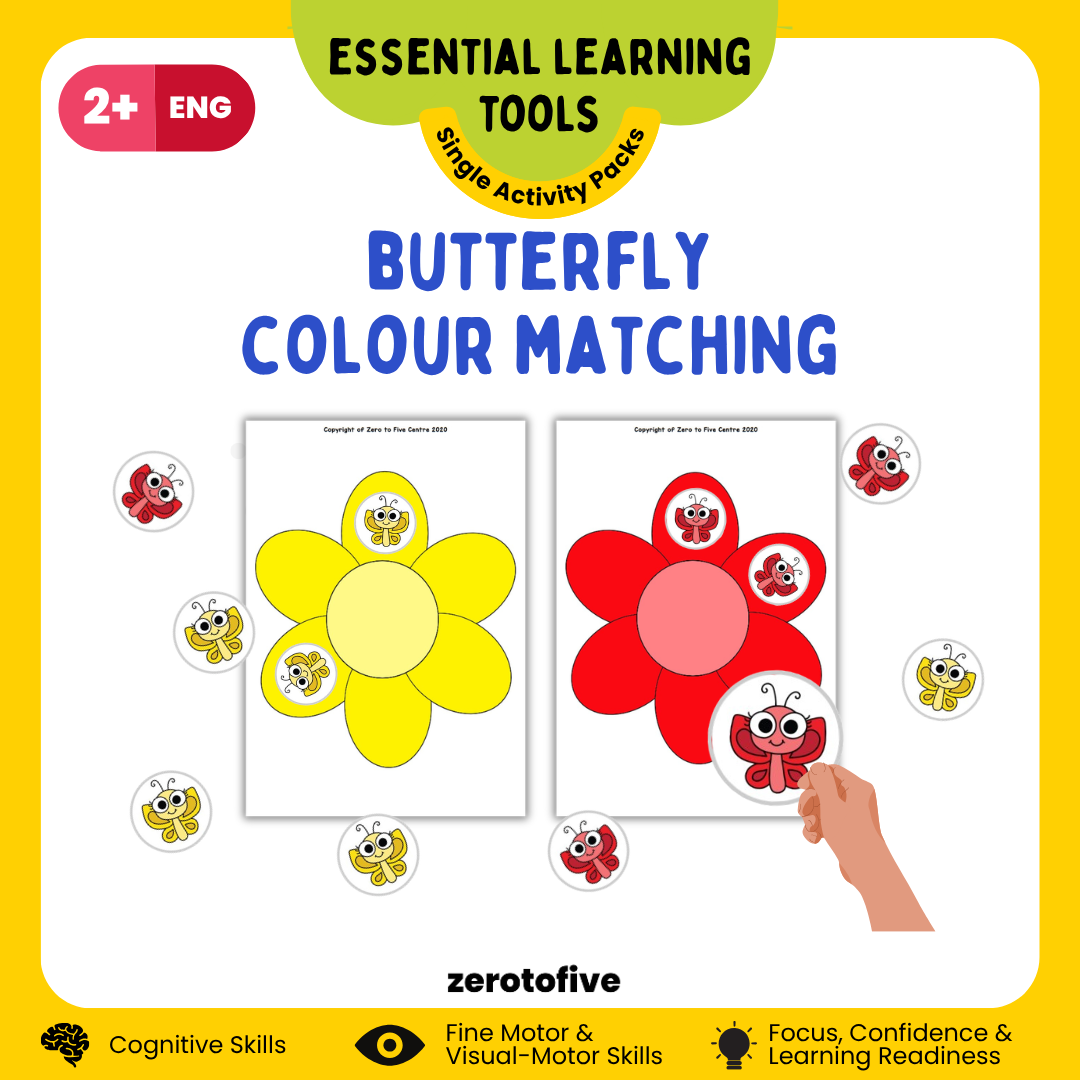 Colours Matching Butterfly Themed