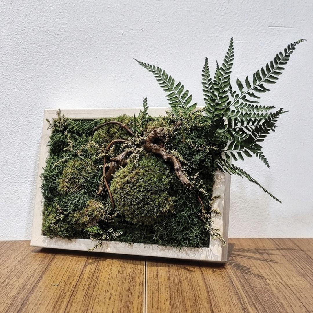 Preserved Nature