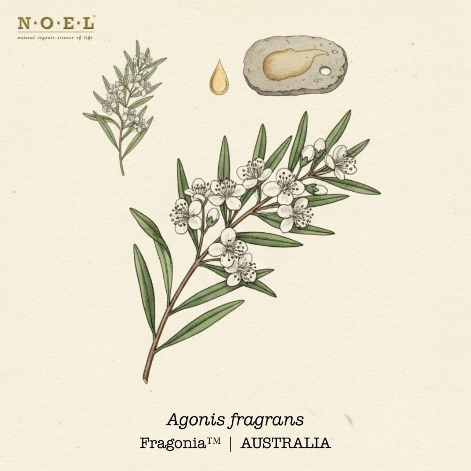 Fragonia™ Essential Oil AUSTRALIA