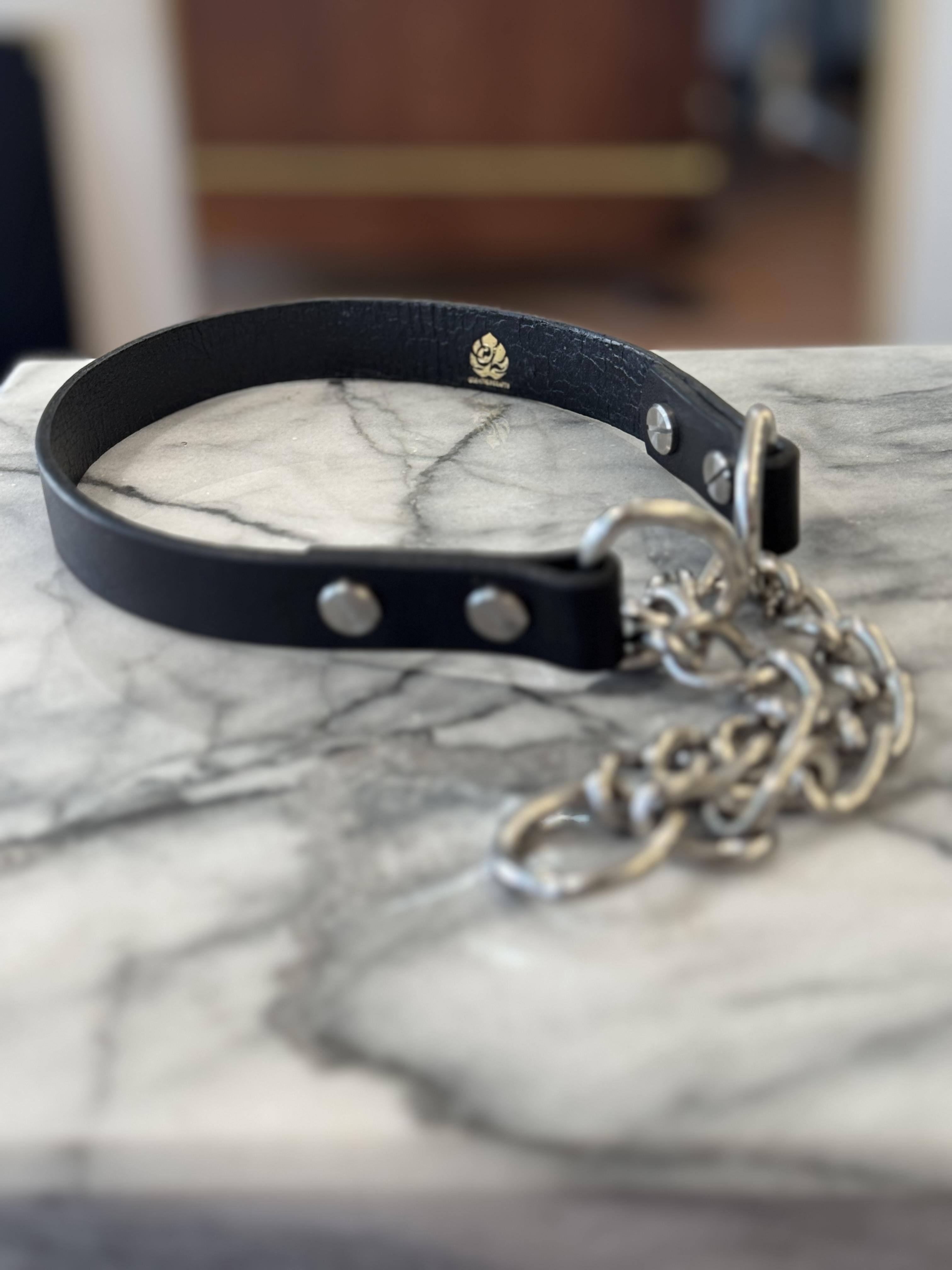 Custom pet collar