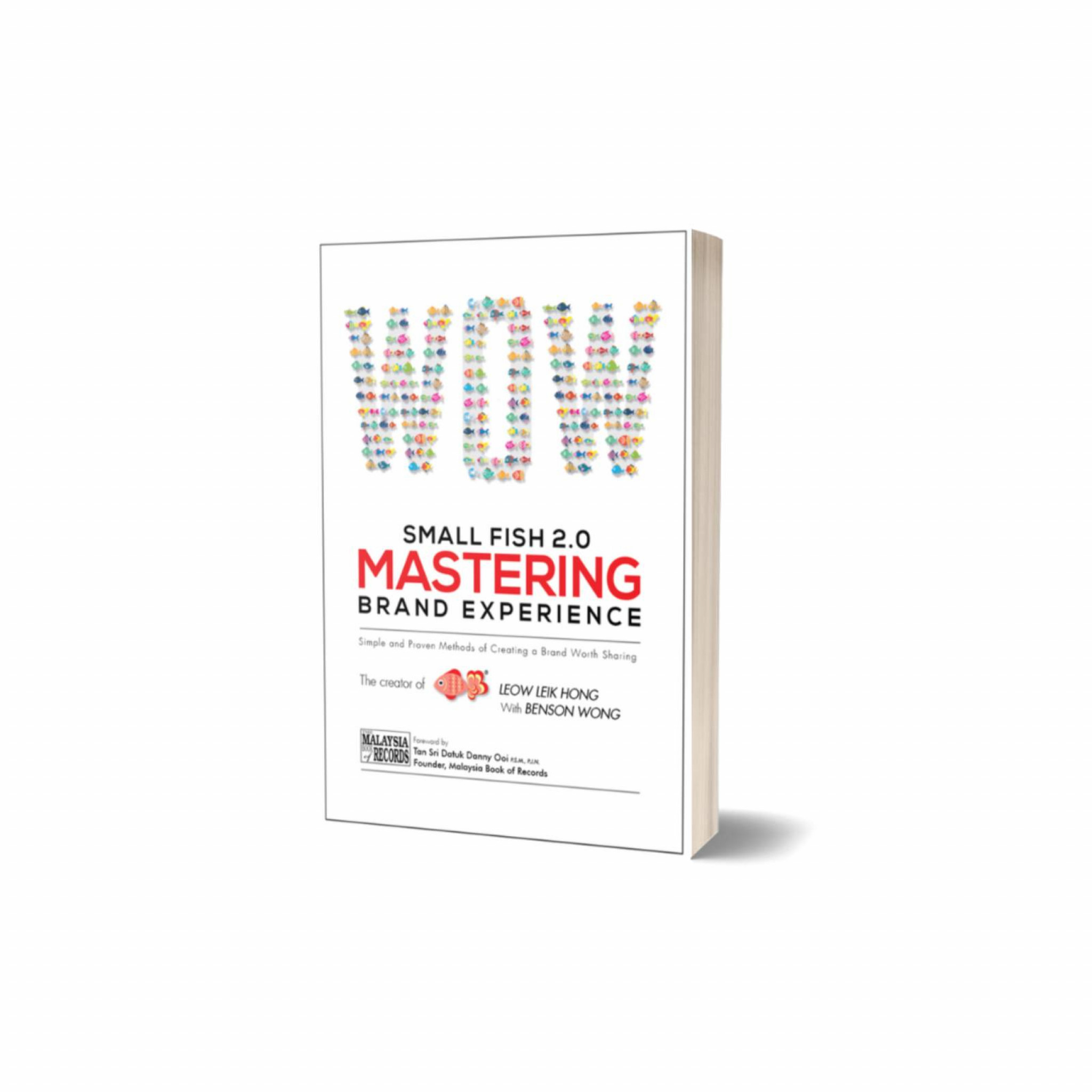 SMALL FISH 2.0 MASTERING BRAND EXPERIENCE