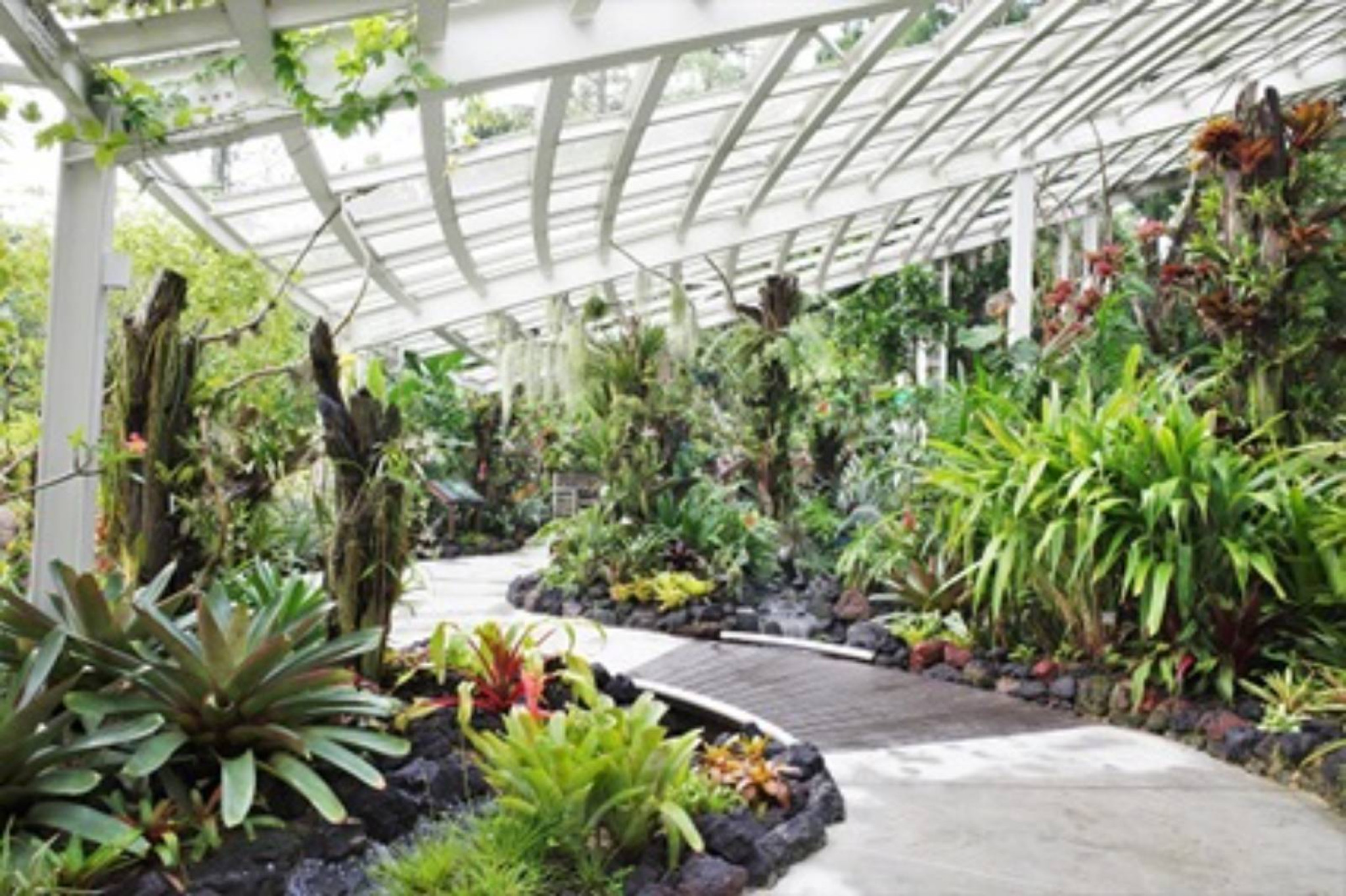 National Orchid Garden