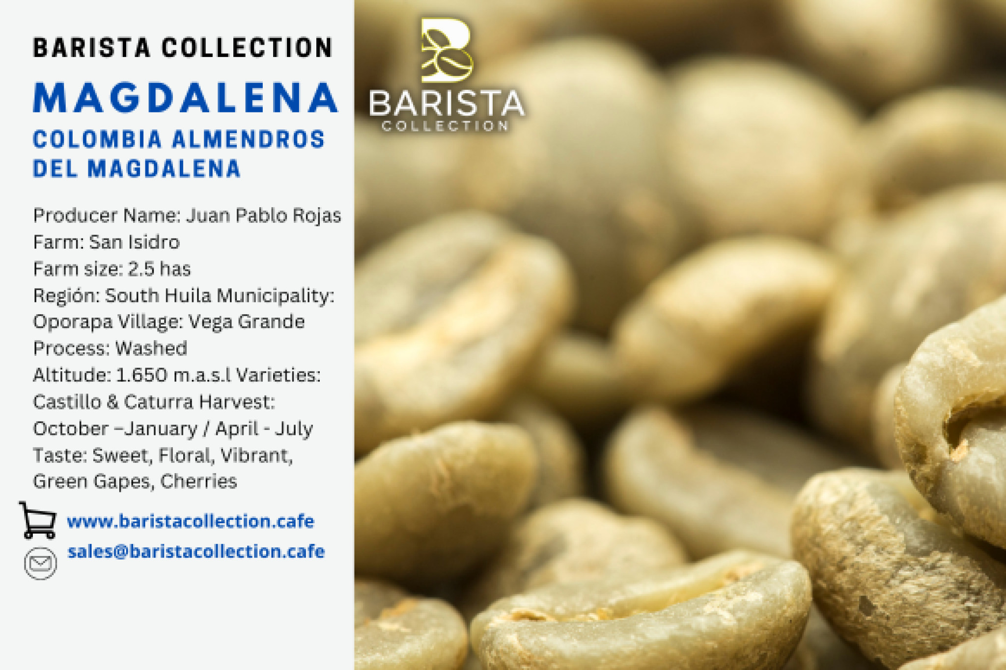 Colombia Almendros del Magdalena [Lote Especial]
