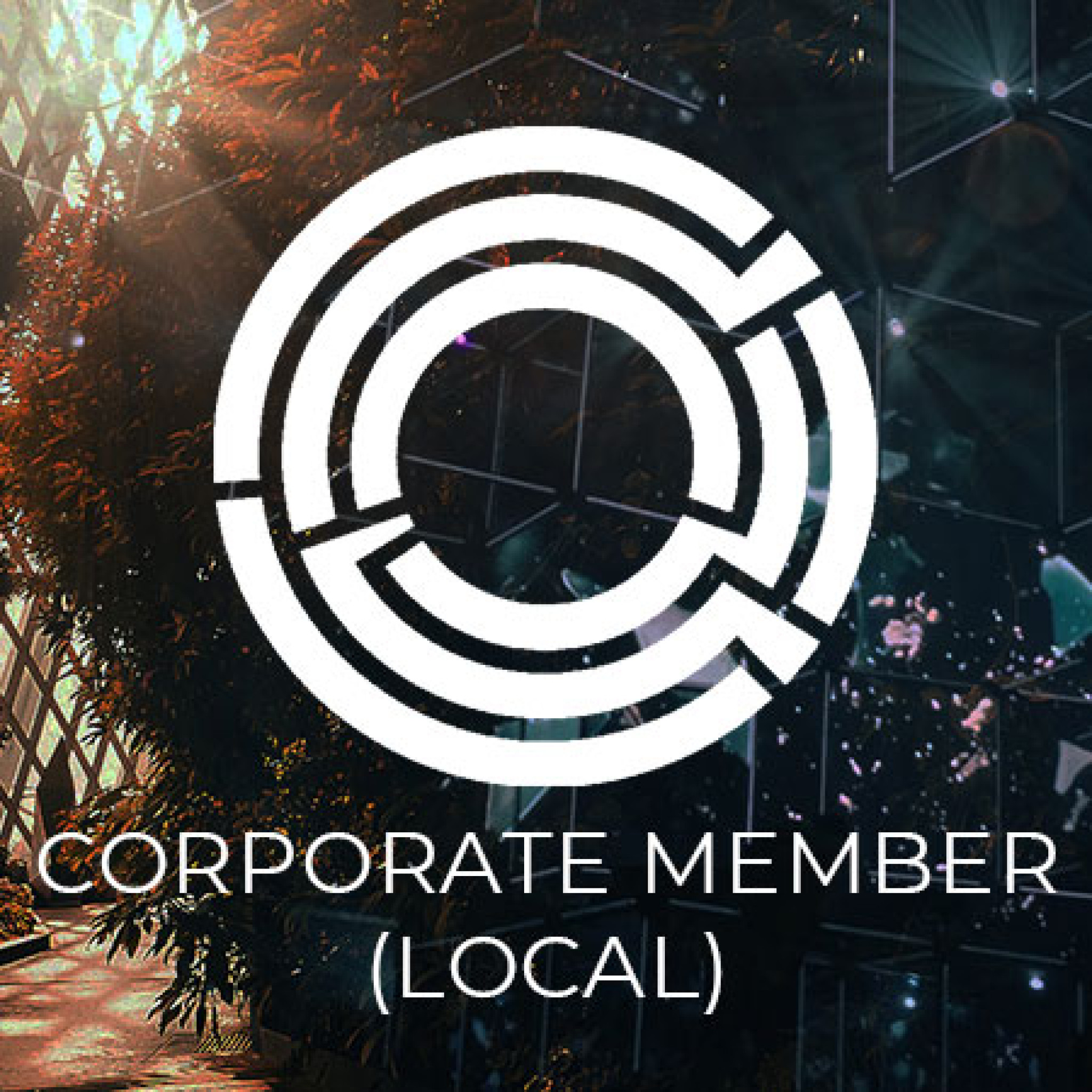 ASSOCIATION OF CRYPTO-CURRENCY ENTERPRISES AND START-UPS, SINGAPORE