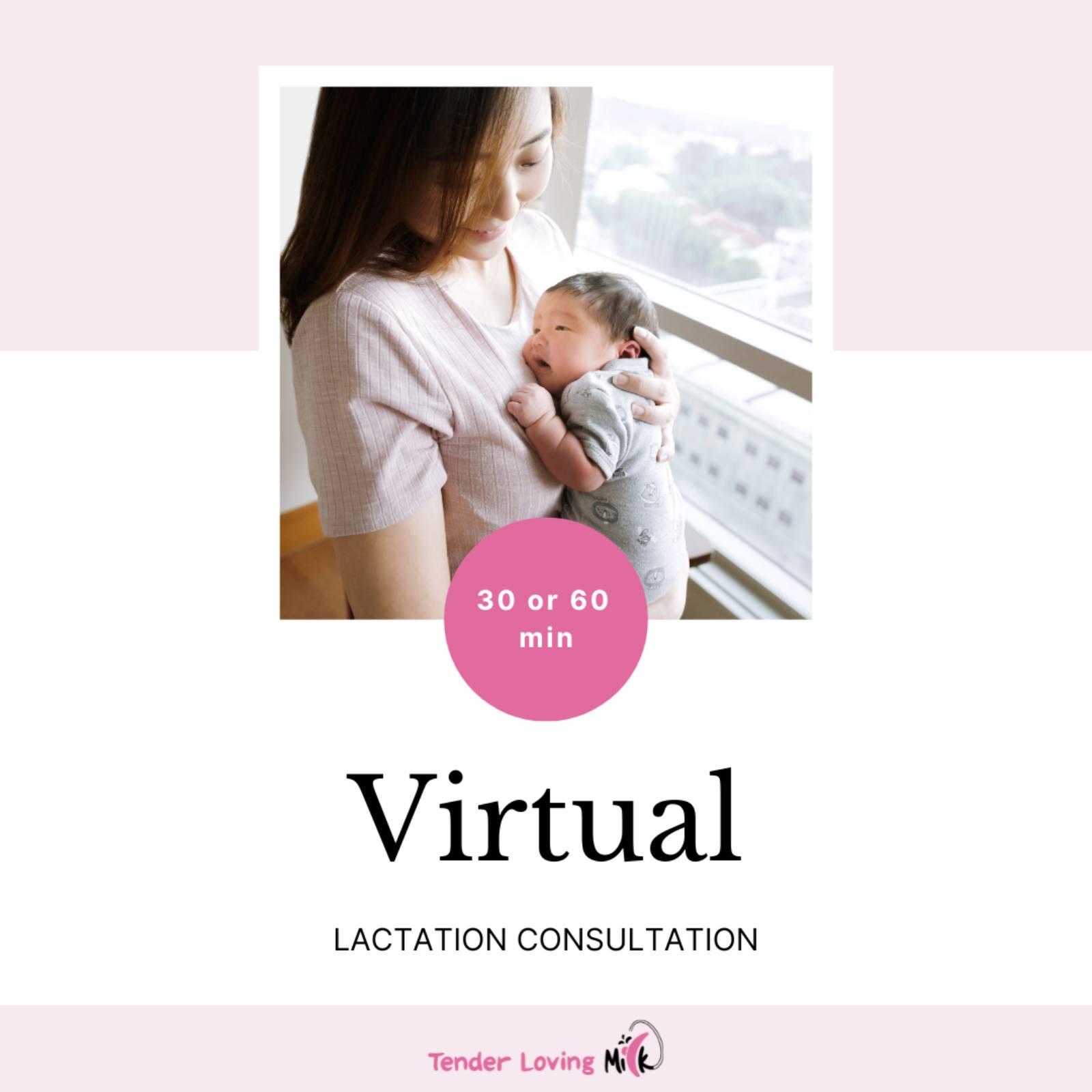 Virtual: Postnatal - Lactation consult
