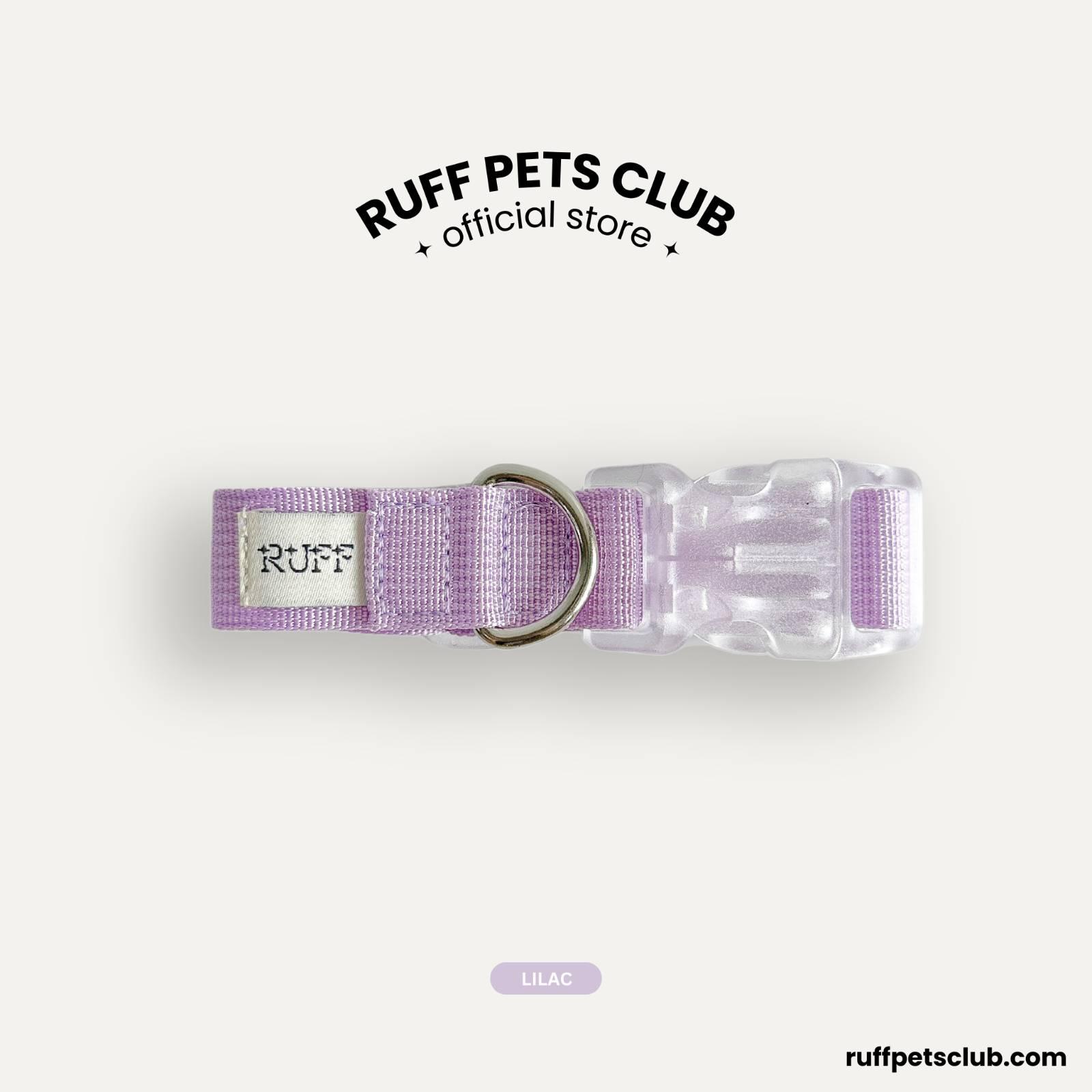 Looking Cute Collar
