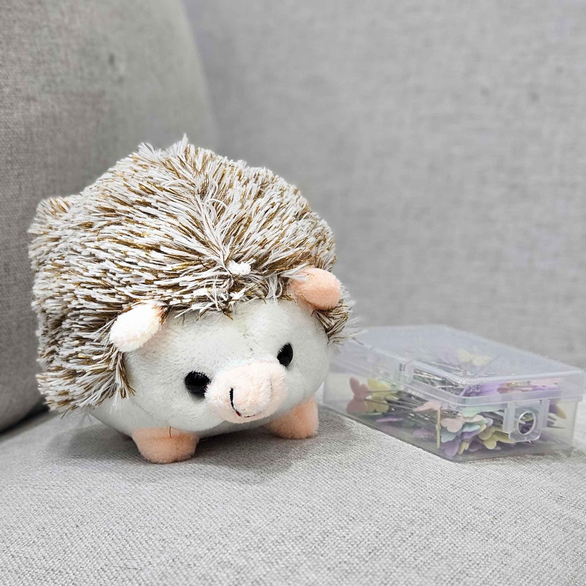 Hedgehog Pin Cushion & Pins