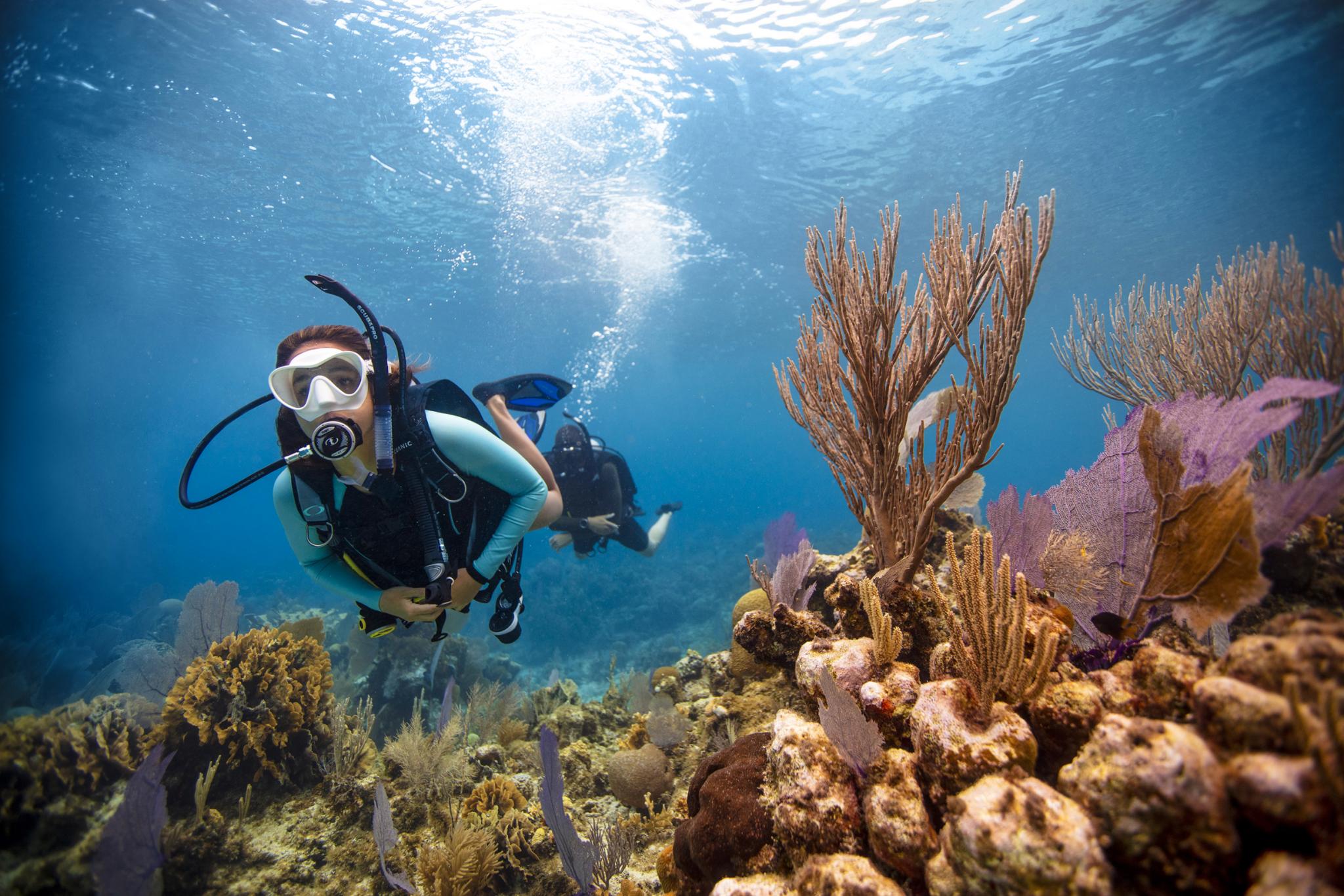 PADI® Open Water Diver (OWD) Course