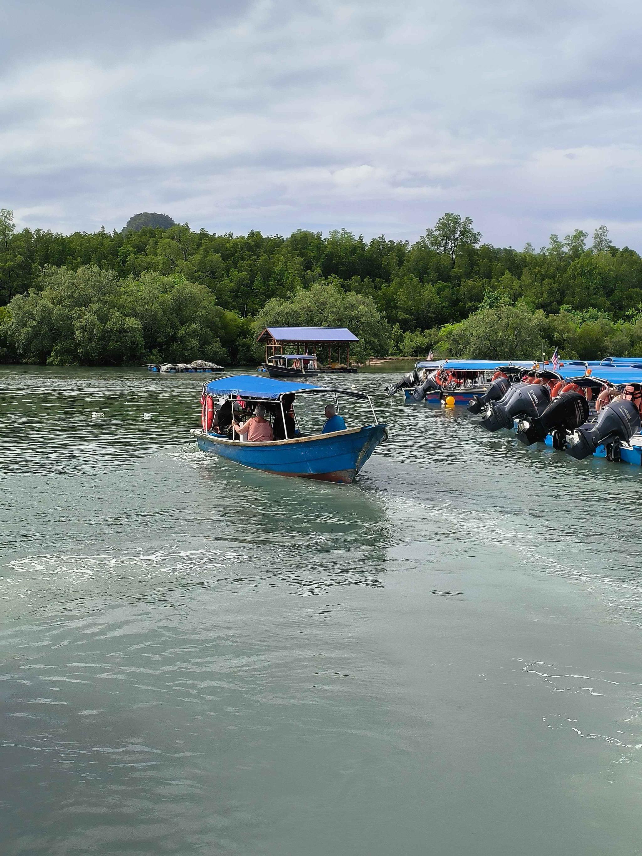 SIC Mangrove Tours Group - Adult Ticket