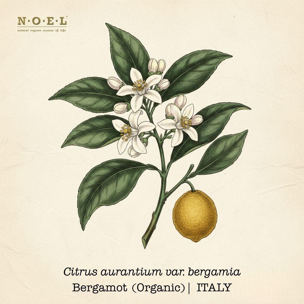 Bergamot ITALY (Organic)-1