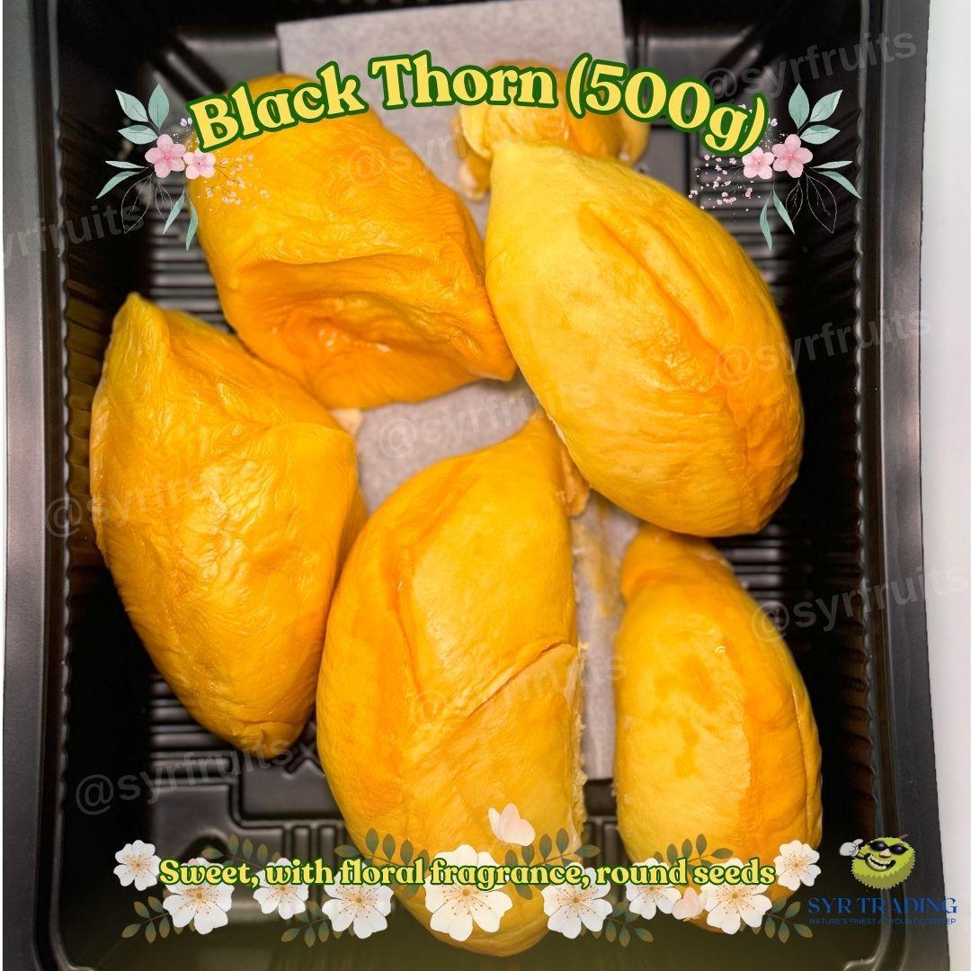 Black-Thorn-Image2