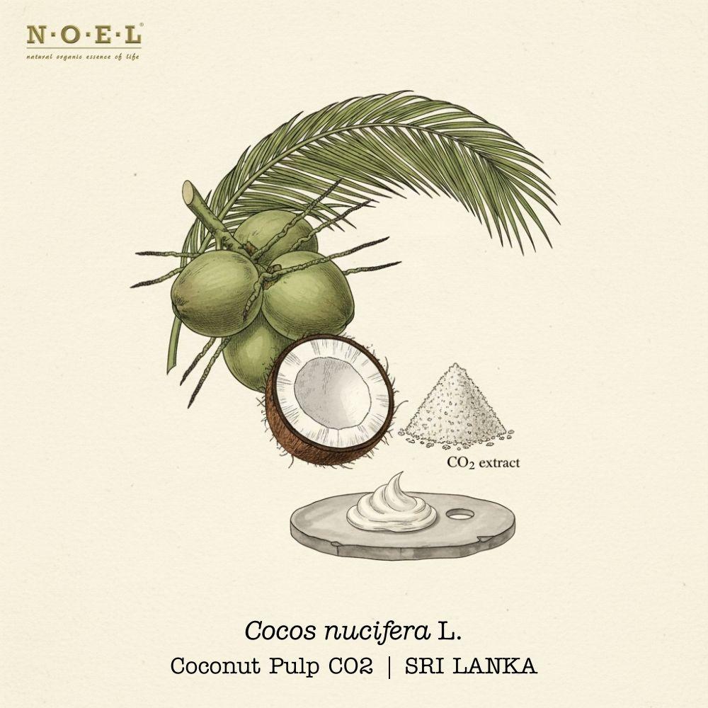 Coconut CO2 SRI LANKA-1