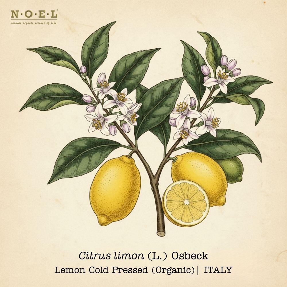 Lemon CP Organic ITALY-1