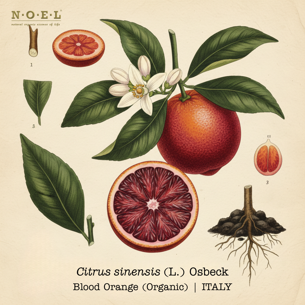 Orange Blood ITALY Organic-1