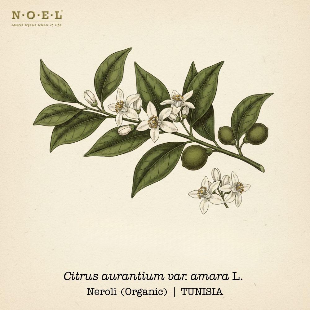 Neroli Essential Oil (Organic) TUNISIA