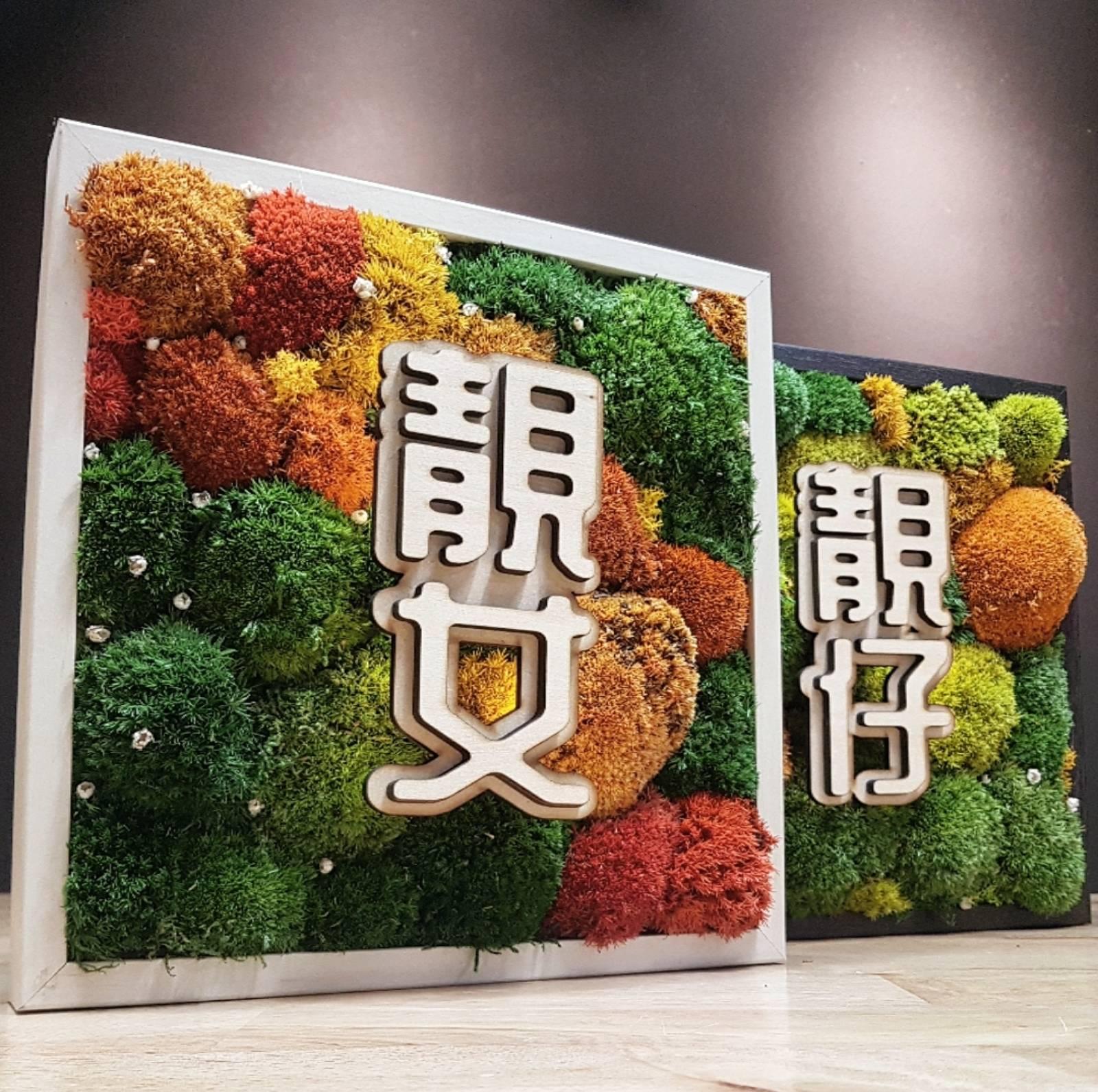 Preserved Moss Frame
