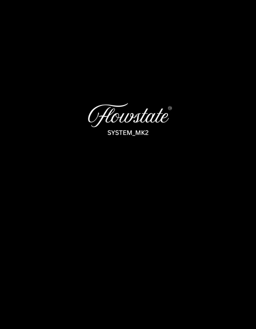 Flowstate SYSTEM_MK2 Oversized Tee - image 2