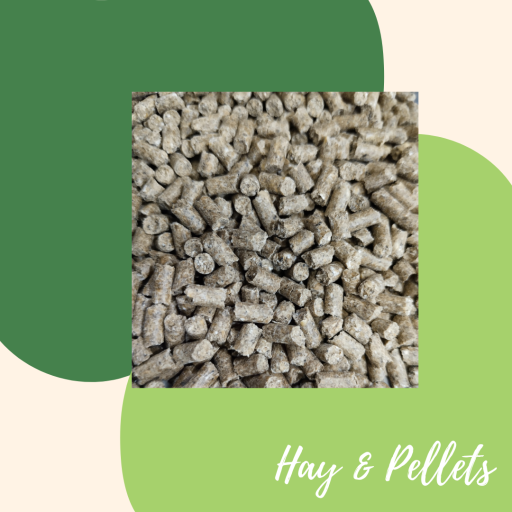 Booster S Supplemental Pellets For Rabbits and Guinea Pigs 300g - image 2