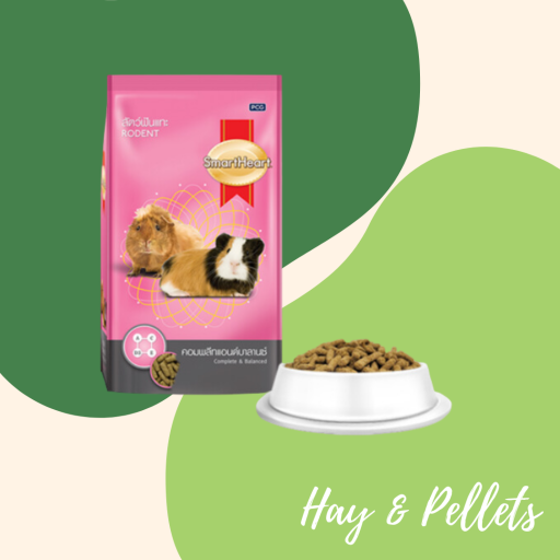 Smart Heart Rodent Pellets Complete & Balanced - image 2