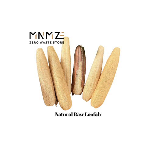 Loofah Natural Unbleached Sponge | 100% Ecofriendly Compostable - image 8