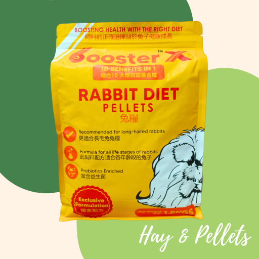 BX Rabbit Diet Pellets | Timothy Based Pellets - https://hitpay-production.s3.ap-southeast-1.amazonaws.com/products/81-6826e39378b60.png