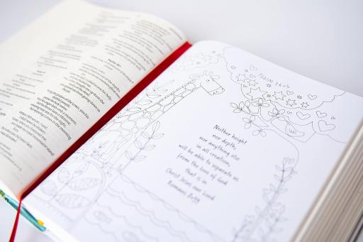 NIV Journalling Bible for Creative Contemplation - image 3