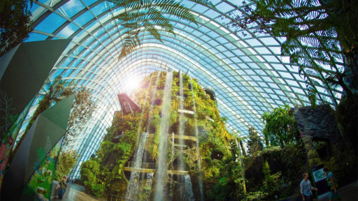 Gardens By The Bay - Jurassic World: The Experience - image 6