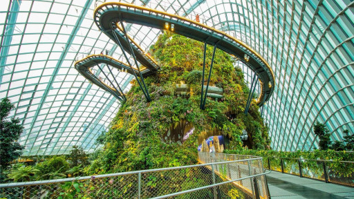 Gardens By The Bay - Jurassic World: The Experience - image 5