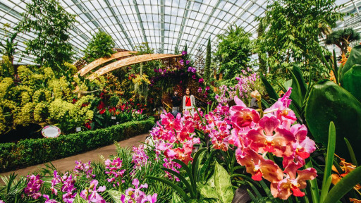 Gardens By The Bay - Jurassic World: The Experience - image 4