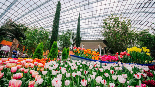 Gardens By The Bay - Jurassic World: The Experience - image 3