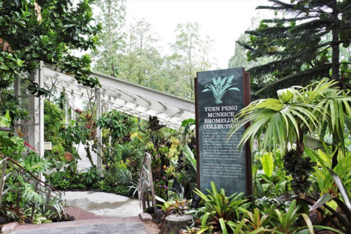 National Orchid Garden - image 5
