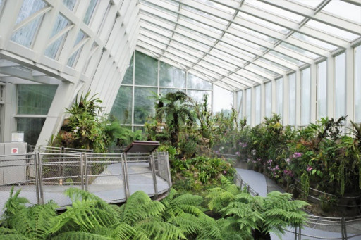 National Orchid Garden - image 4