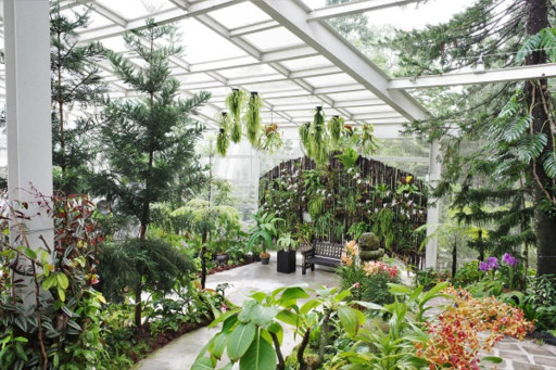 National Orchid Garden - image 3