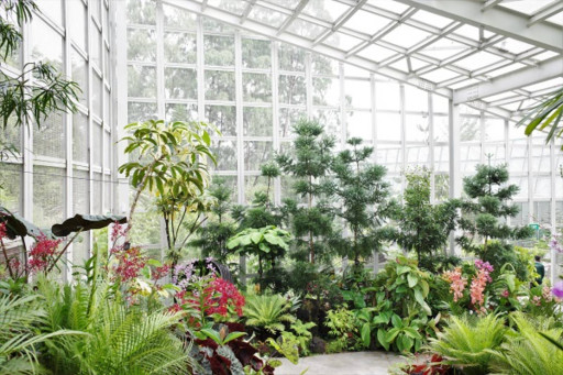 National Orchid Garden - image 2