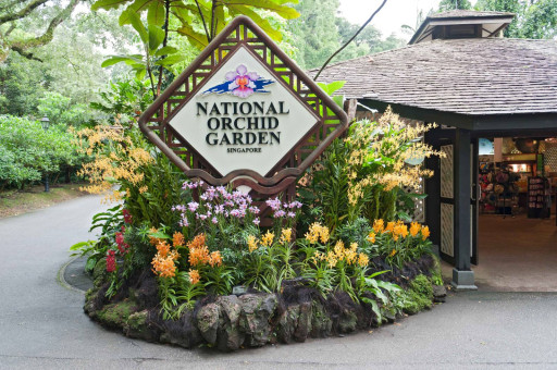 National Orchid Garden - image 1