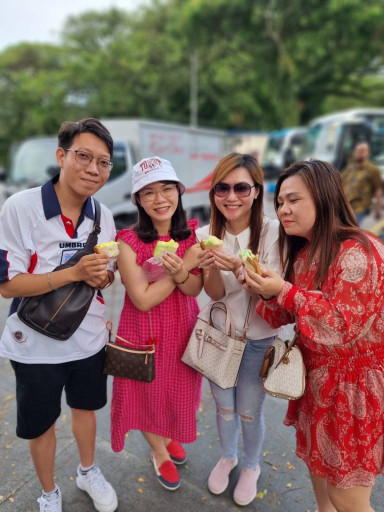 Private 4-Hrs Singapore City Tour in Minibus with Driver (Per Group) - image 3