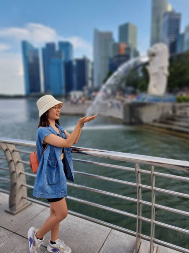 Private 4-Hrs Singapore City Tour in Minibus with Driver (Per Group) - image 2