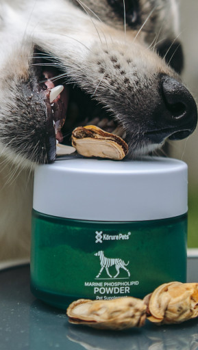 Kōrure Pets Dog Marine Phospholipid Powder (Joint Health) - image 4