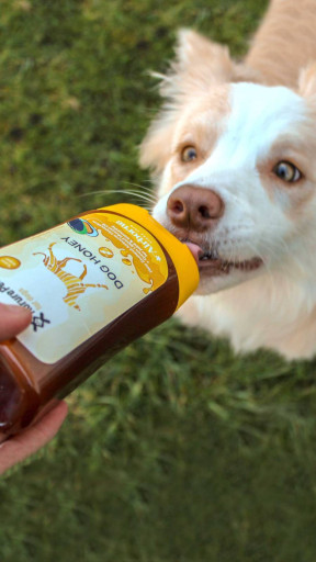 Kōrure Pets Dog Honey + Mussel Oil (Joint Health) - image 4