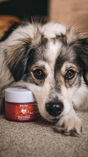 Kōrure Pets Salmon Caviar - image 3