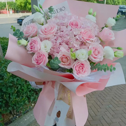 Hydrangea Serenade 绣球小夜曲 - image 2