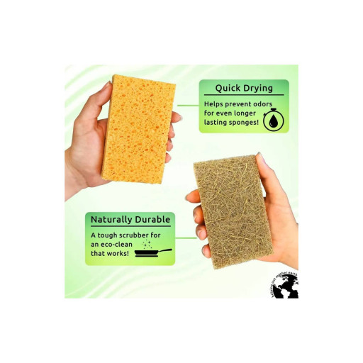 Coconut Cellulose Sponge (Natural, Compostable, Eco-Friendly) - image 4